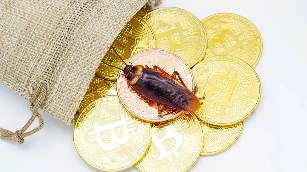 Почему тараканы снятся к деньгам. Фото © Shutterstock / FOTODOM / janezudza