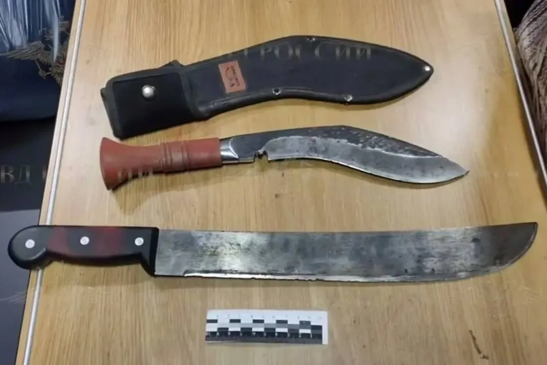 Изъятые ножи. Фото © Telegram / Ирина Волк