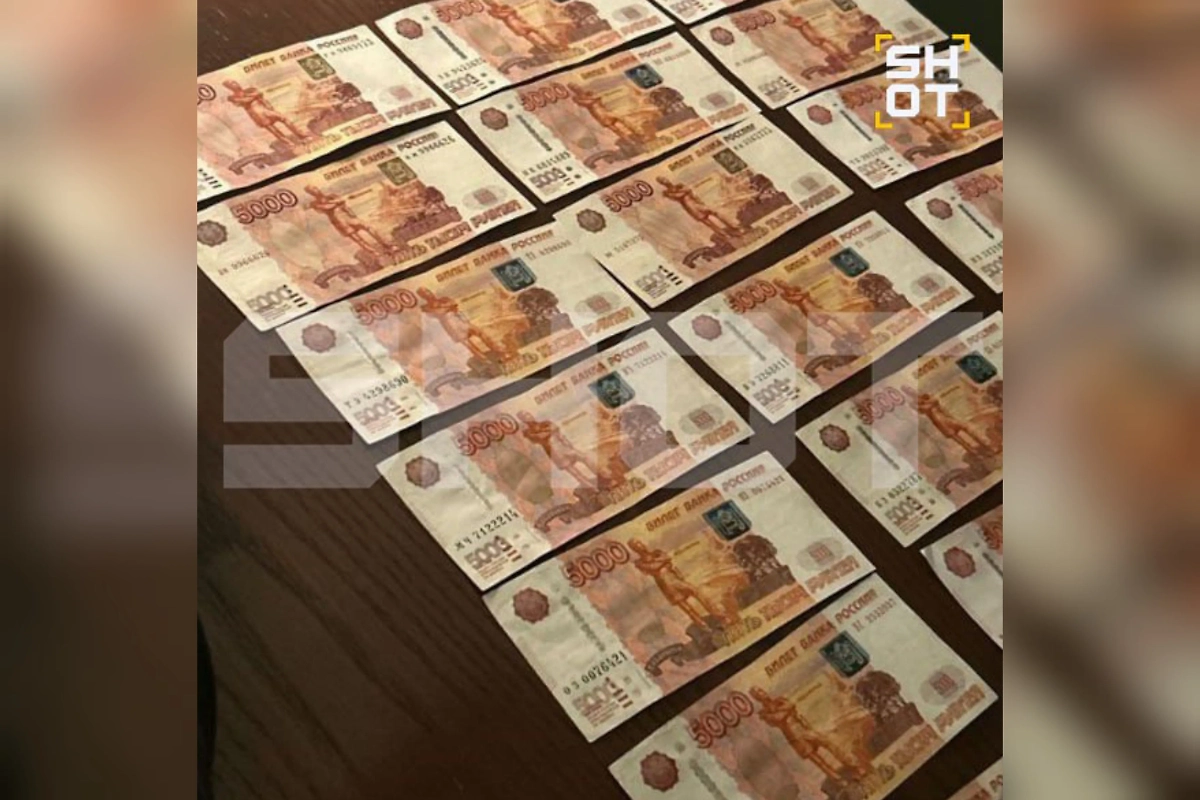 Кадр с обысков у руководителя рязанской «Новой газеты» Алексея Фролова. Фото © SHOT