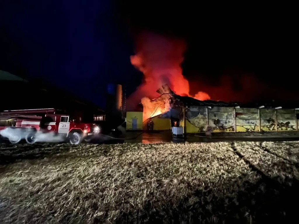 Пожар на птицефабрике «Куриное царство». Обложка © Прокуратура Курской области