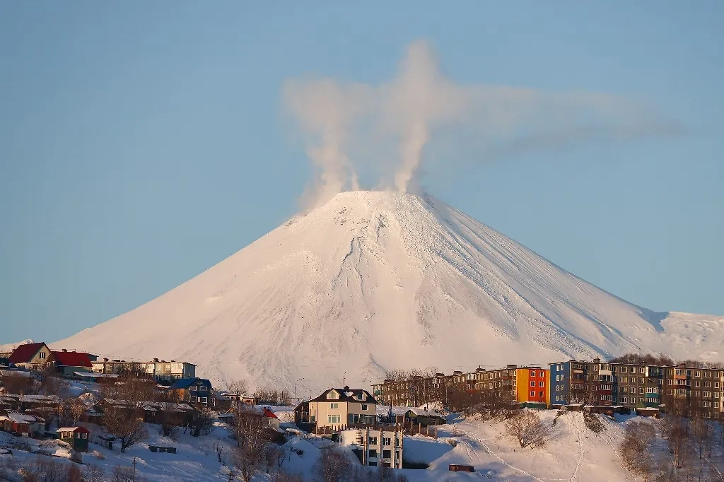 Обложка © ТАСС / Елена Верещака
