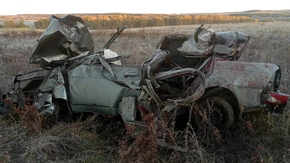 Обложка © Telegram / Владимир Севастьянов