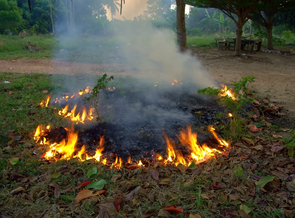 Обложка © Shutterstock / FOTODOM / chai chaiyo
