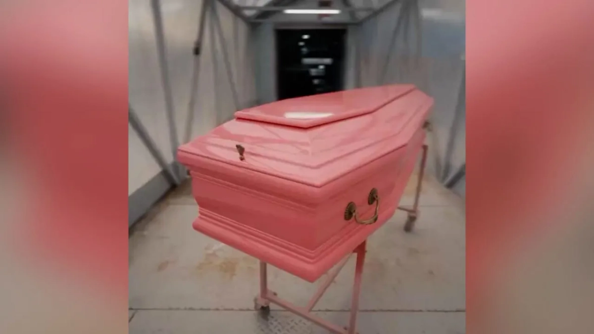 Новый тренд зумеров — разноцветный гроб. Обложка © Telegram / Mash