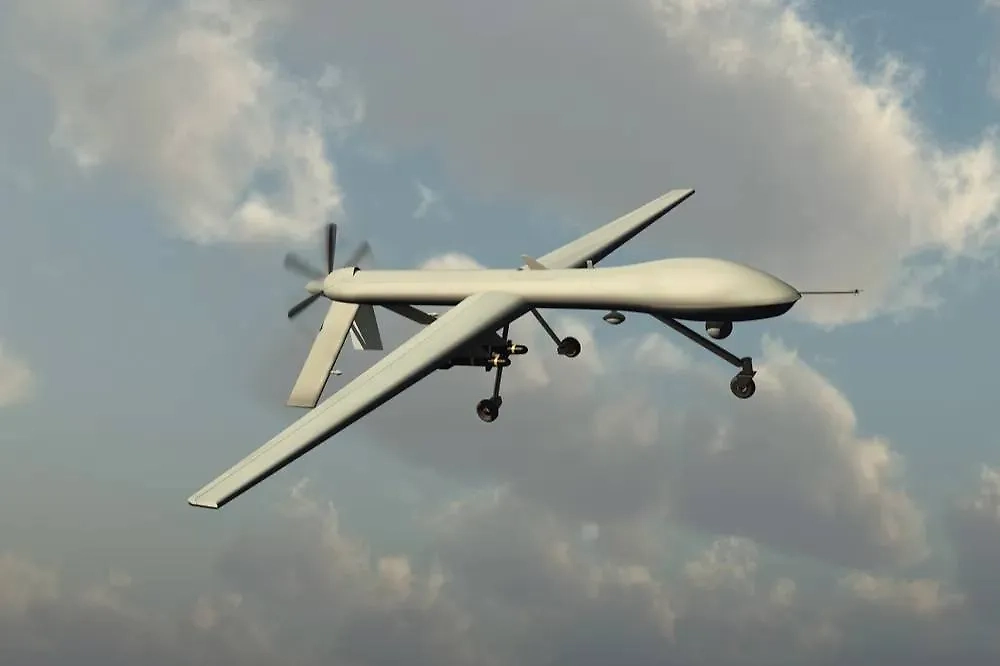 Обложка © Shutterstock / FOTODOM / Esteban De Armas