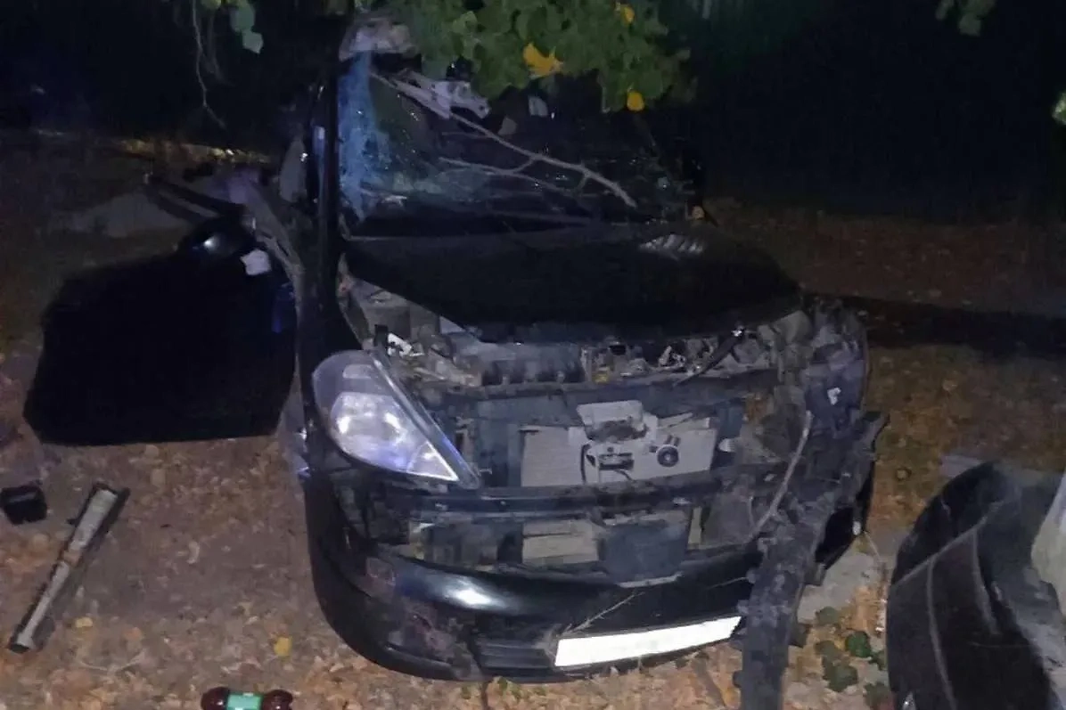 Обложка © Telegram / Госавтоинспекция Белгородской области