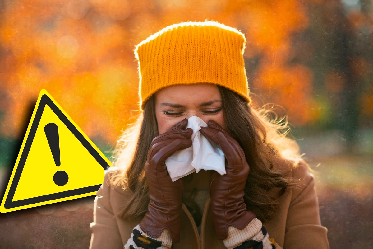 Когда в 2025 году закончится сезон пыления амброзии и чем спасаться прямо сейчас. Обложка © Коллаж © Life.ru. Фото © Shutterstock / FOTODOM / Alliance Images