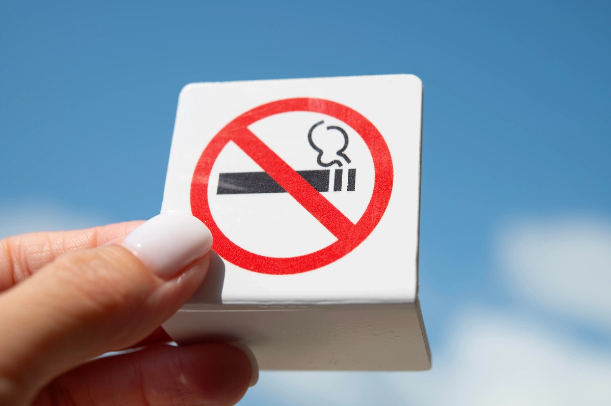 Обложка © Shutterstock / FOTODOM / Ella Doroshchenko