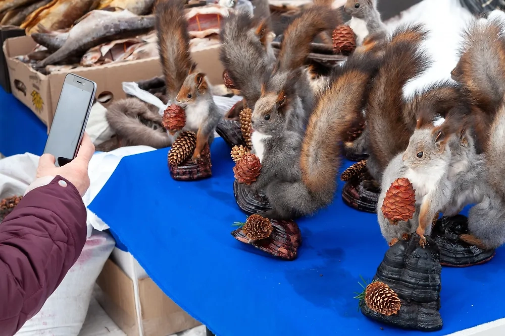 Обложка © Shutterstock / FOTODOM / Bragapictures