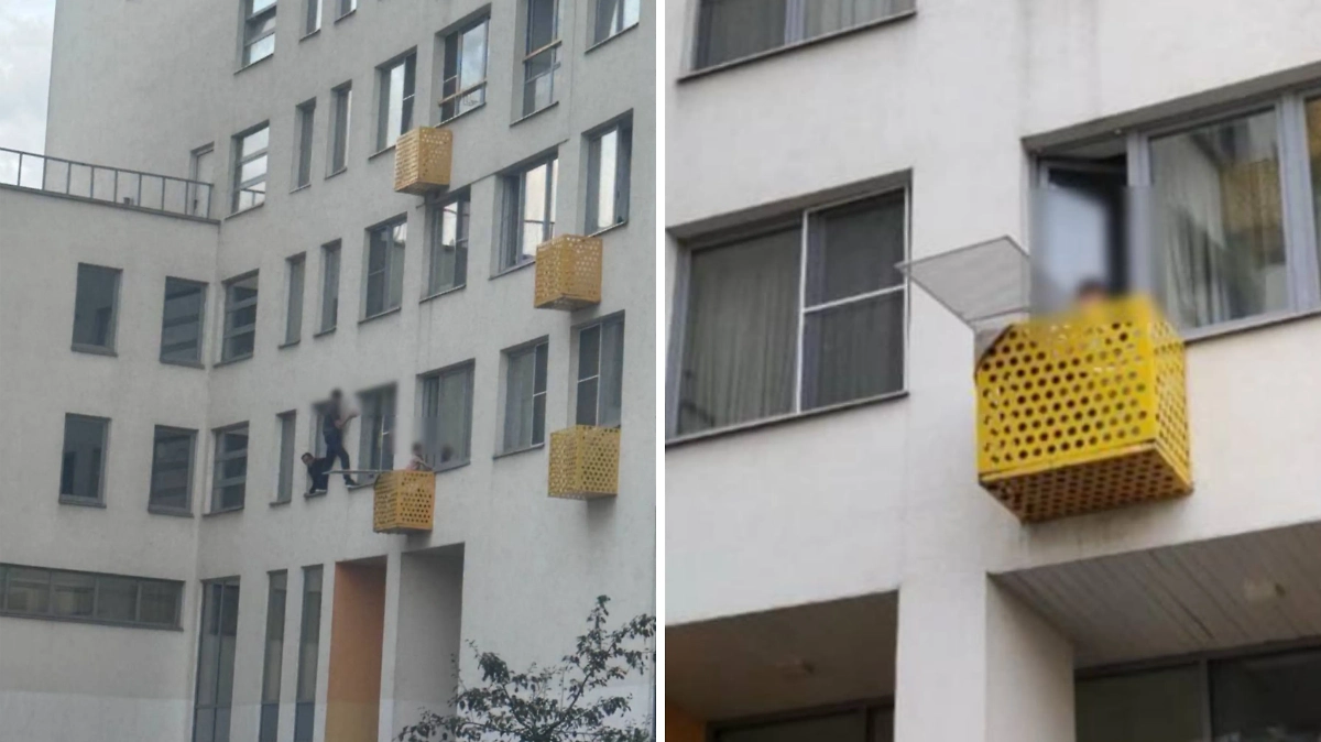 В Люберцах ребёнок чудом выжил после падения из окна многоэтажного дома. Фото © VK / Типичные Люберцы