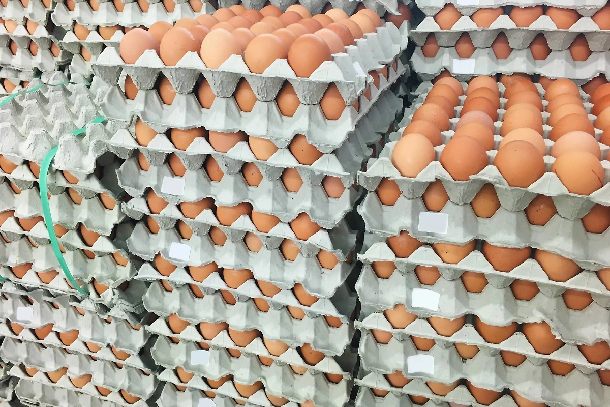 Обложка © Shutterstock / FOTODOM / Kwangmoozaa