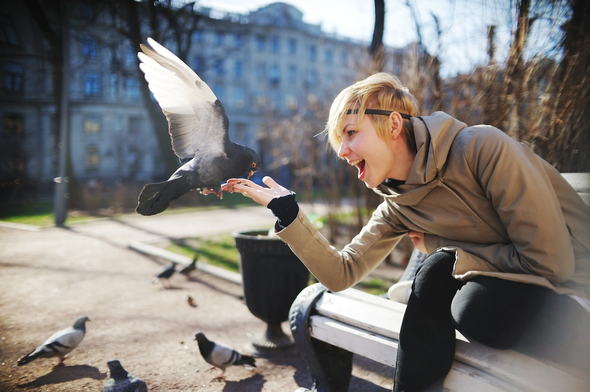 Обложка © Shutterstock / FOTODOM / sun ok