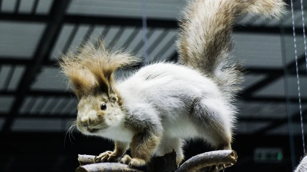 Обложка © Shutterstock / FOTODOM / Maria Kuchina