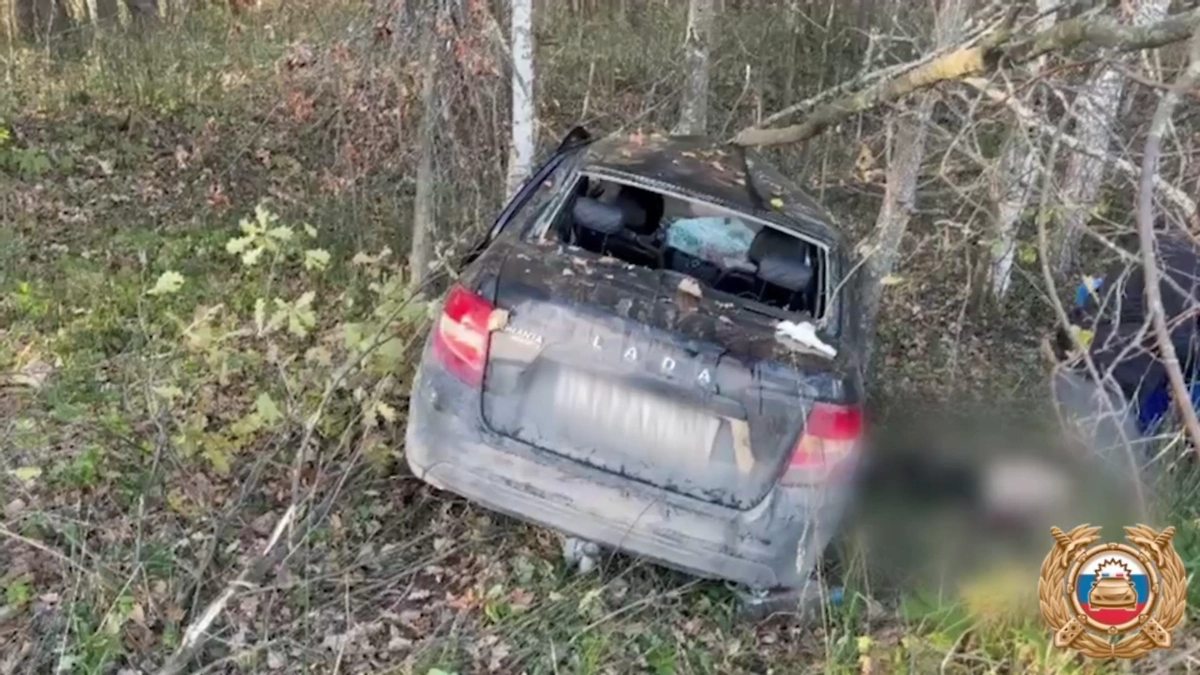 Обложка © Telegram / Госавтоинспекция Башкортостана