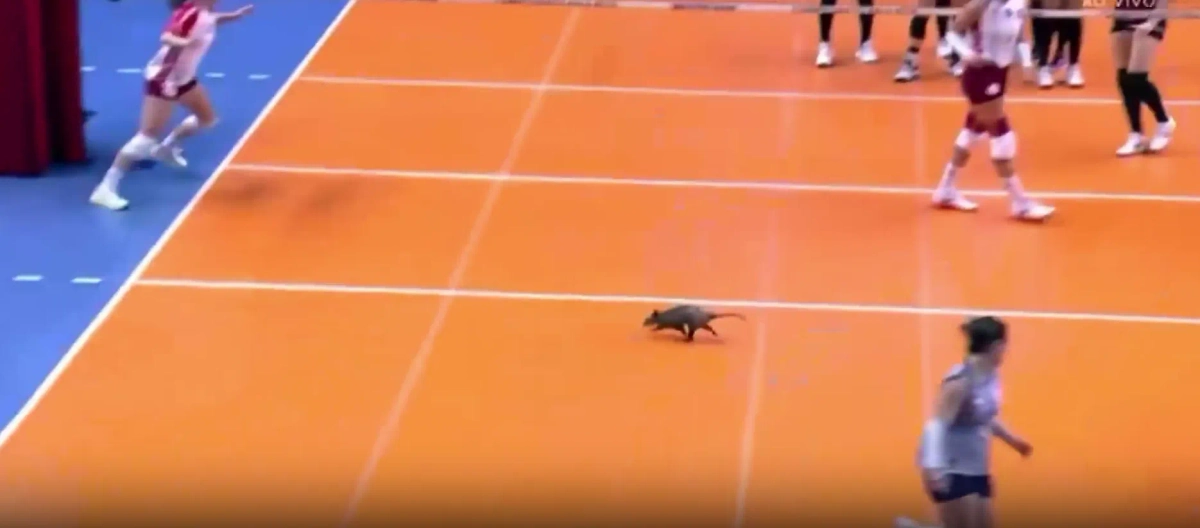 Обложка © X/Centralspor