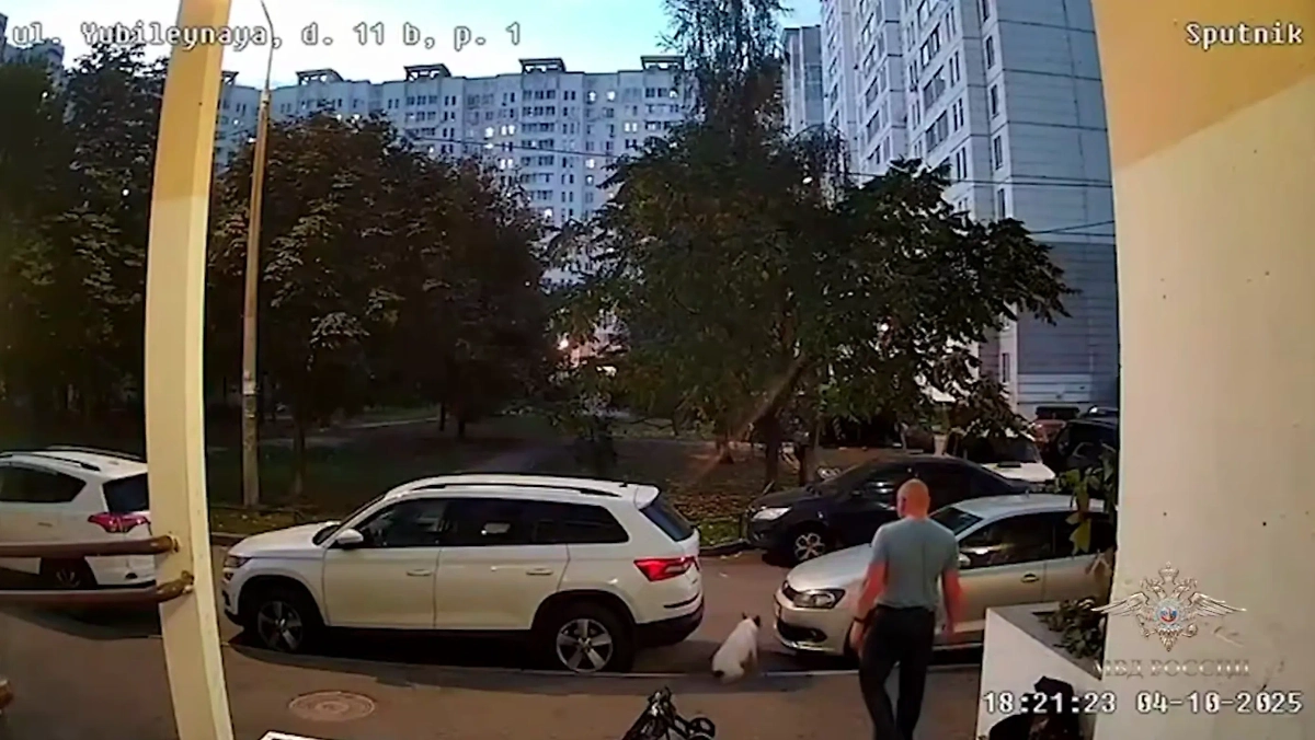 Обложка © Telegram / МВД России / Ирина Волк