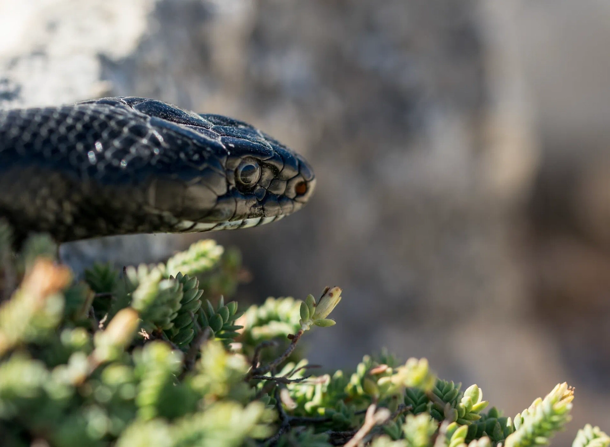 Обложка © freepik / wirestock