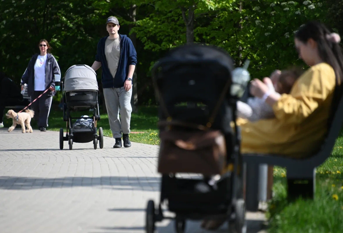 Обложка © Life.ru