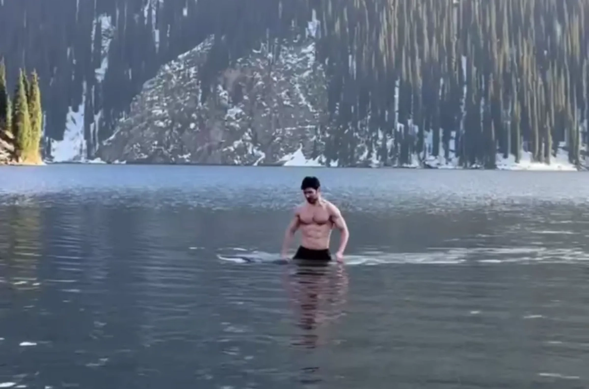 Обложка © Telegram / Код Дурова