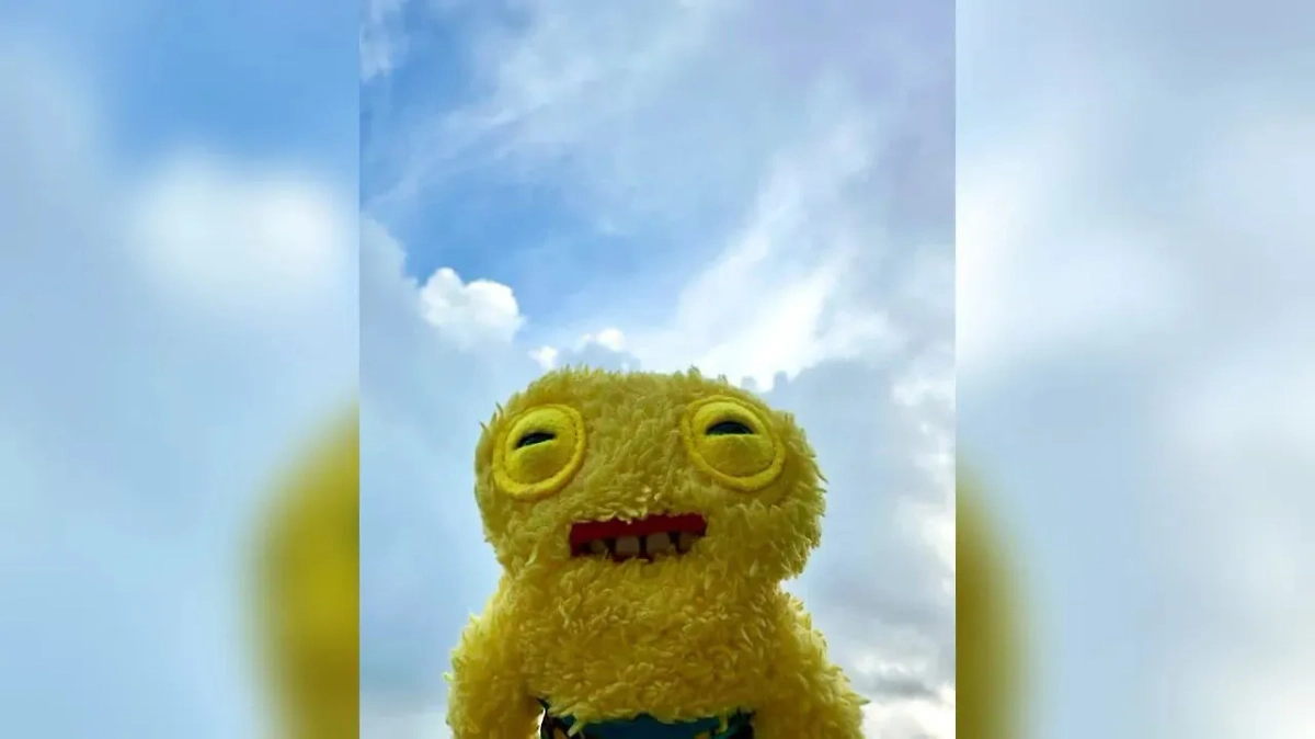 Игрушка Фагглер. Обложка © Instagram (признан экстремистской организацией и запрещён на территории Российской Федерации) / fugglers