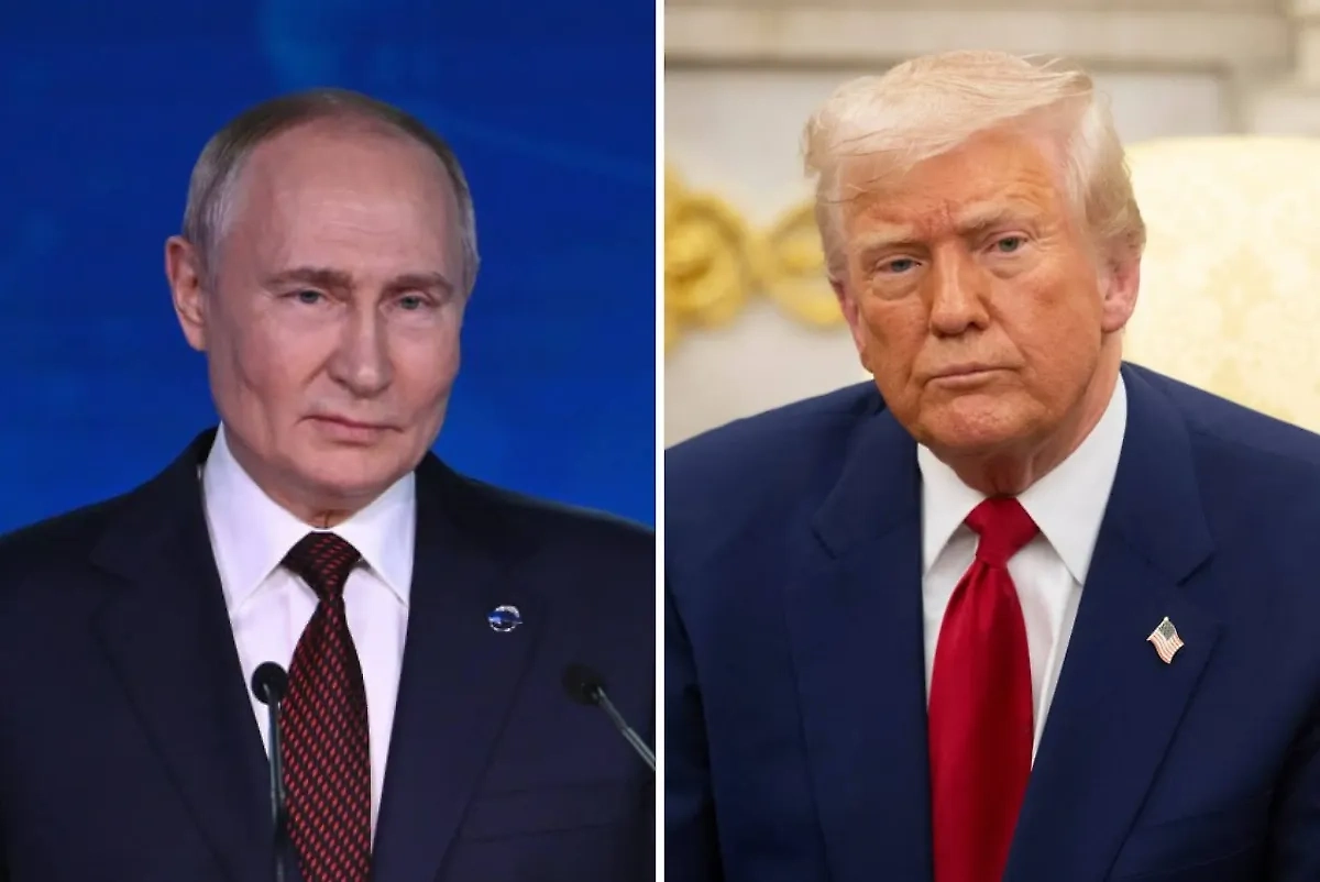 Обложка © Life.ru, Shutterstock / FOTODOM / noamgalai