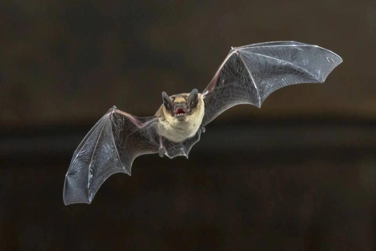 Обложка © Shutterstock / FOTODOM / Rudmer Zwerver