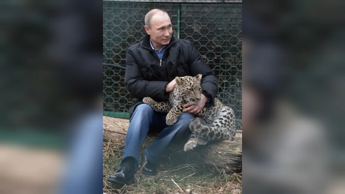 Обложка © Telegram / Кирилл Дмитриев