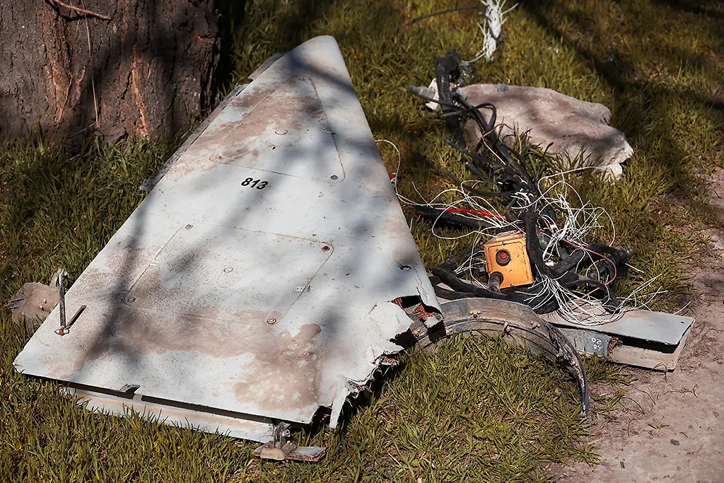 Обложка © ТАСС / Александр Полегенько