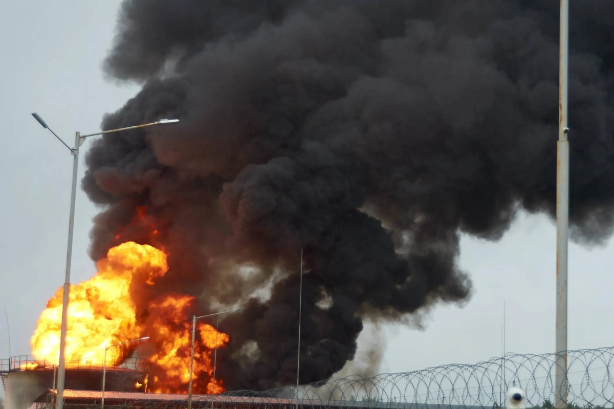 Обложка © Shutterstock / FOTODOM / Dmitriy Sidanchenko