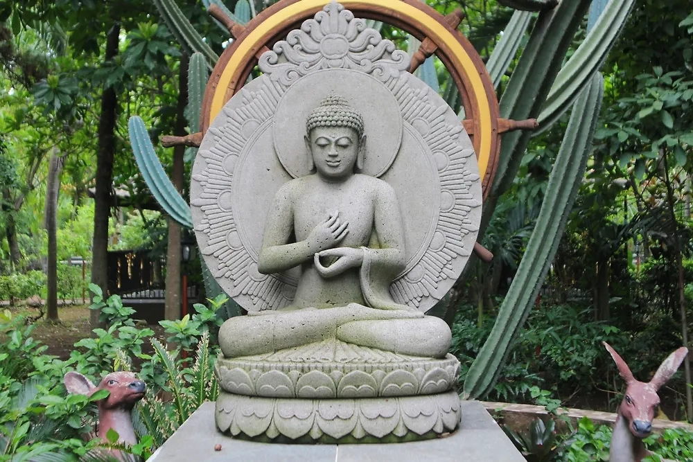 Обложка © Shutterstock / FOTODOM / Ryan Suryanata