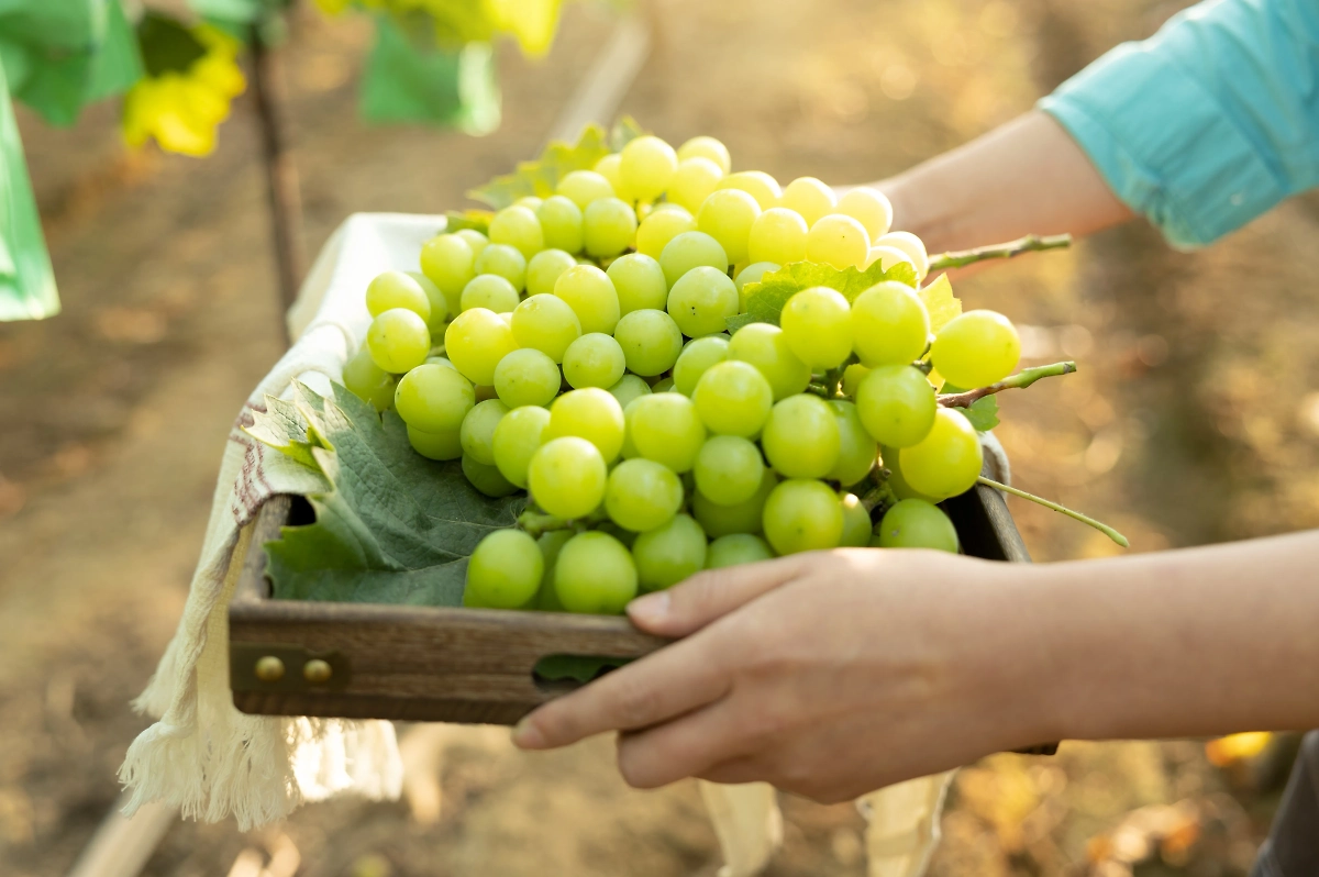 Обложка © Shutterstock / FOTODOM / bigshot01