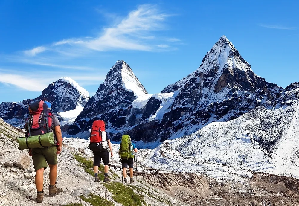 Обложка © Shutterstock / FOTODOM / Daniel Prudek