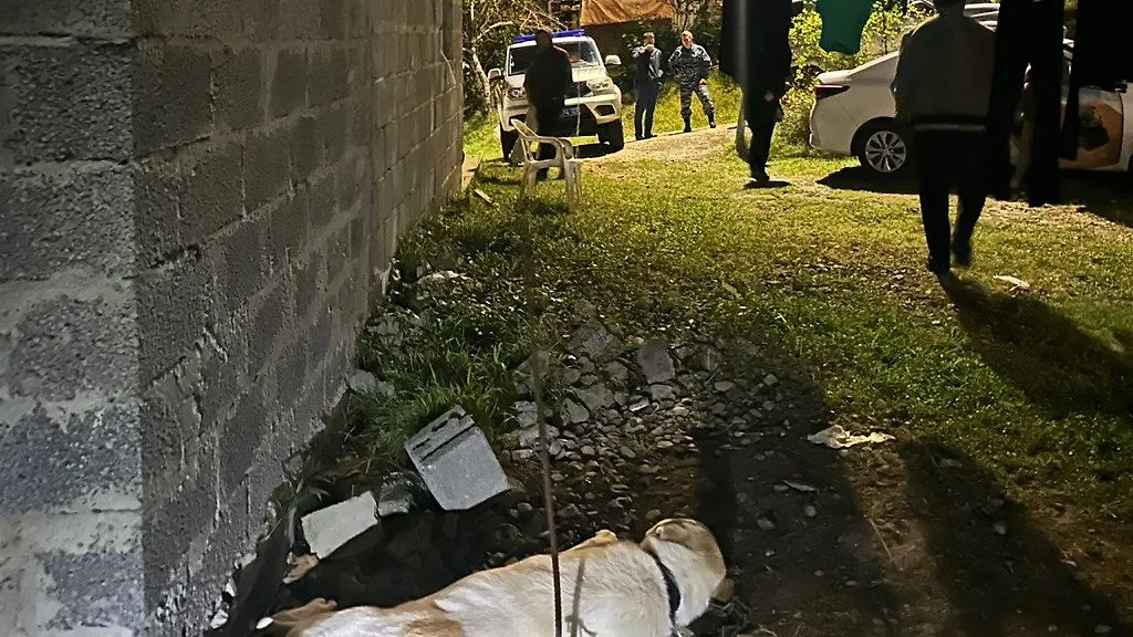 Обложка © Telegram / Россия. Кубань