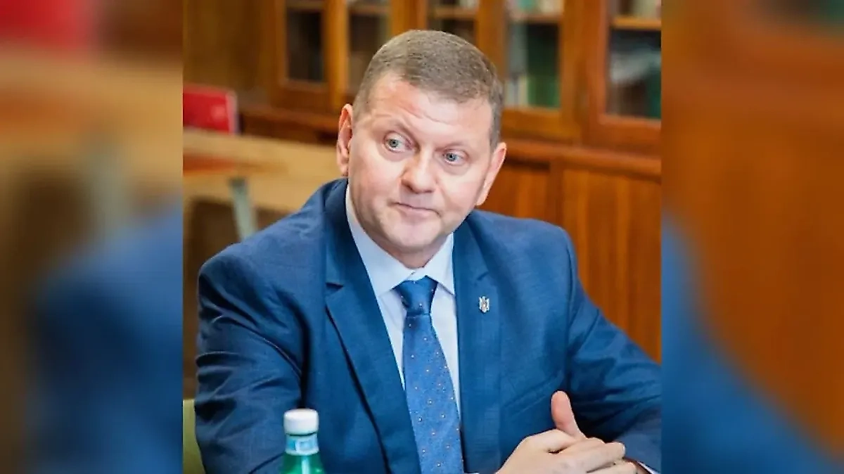 Валерий Залужный. Обложка © Facebook (соцсеть запрещена в РФ; принадлежит корпорации Meta, которая признана в РФ экстремистской) / Валерий Залужный