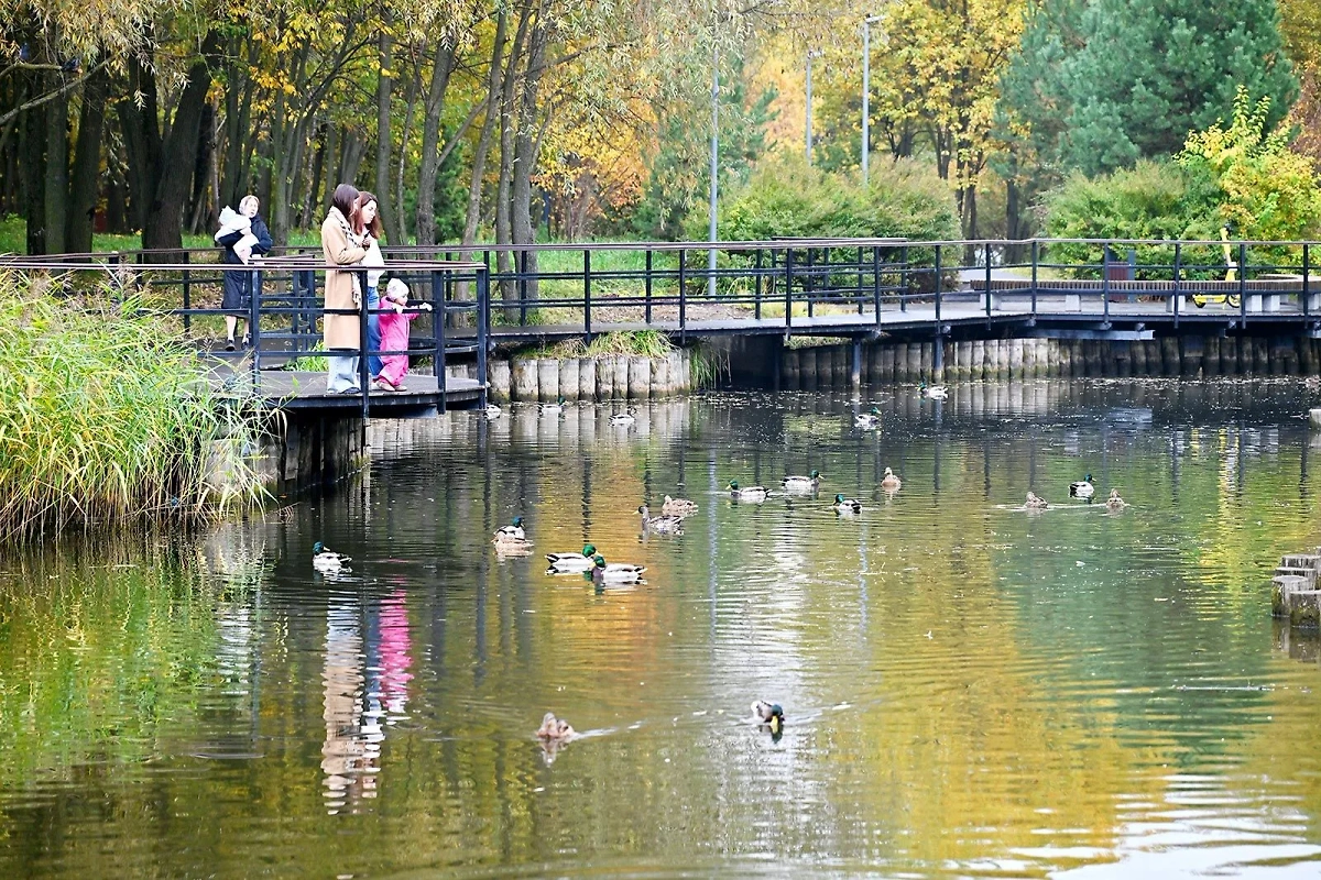 Фото © Пресс-служба мэра и Правительства Москвы / Владимир Новиков