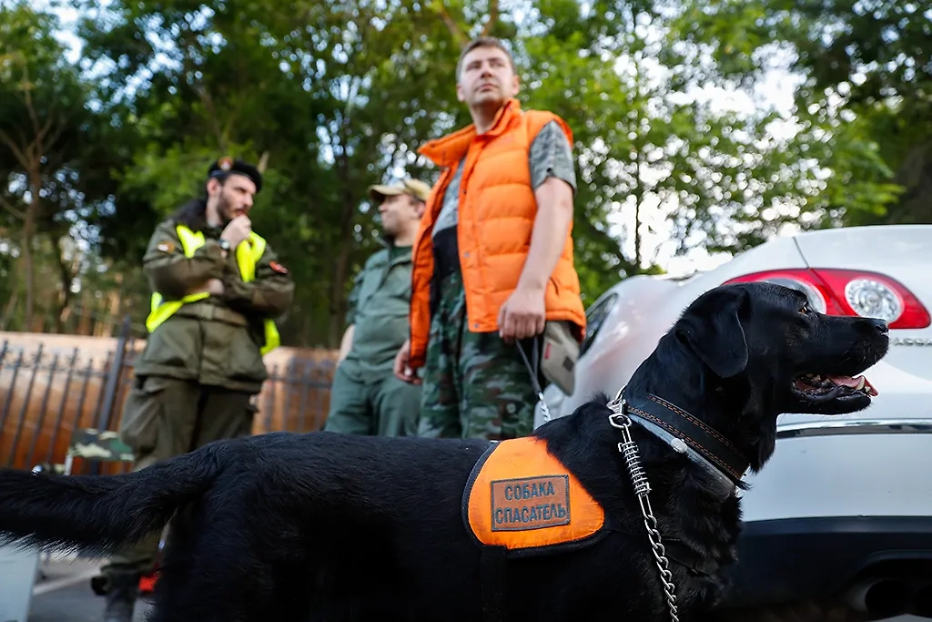 Обложка © ТАСС / Артем Геодакян