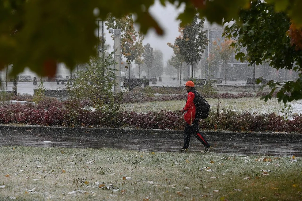 Обложка © Life.ru