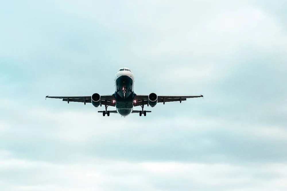 Обложка © Freepik / wirestock