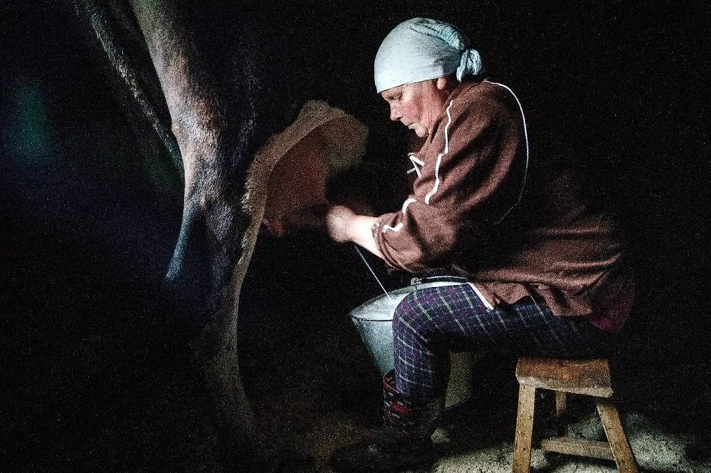 Обложка © Дмитрий Феоктистов/ТАСС