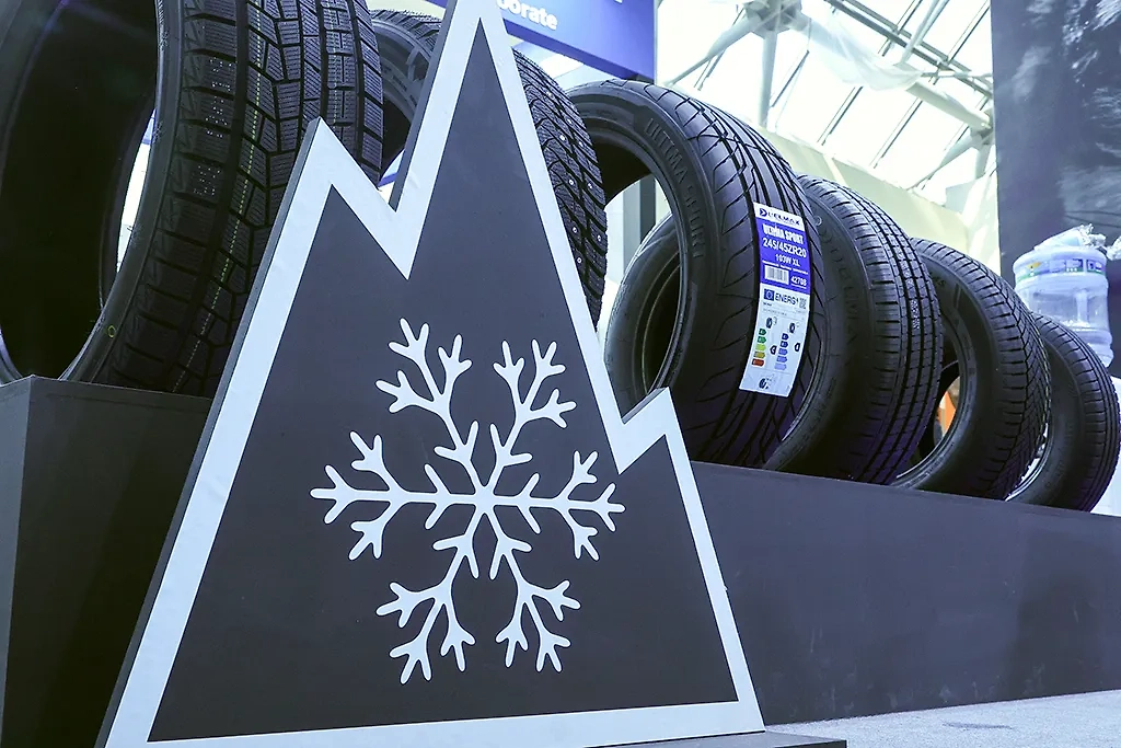 В зависимости от условий эксплуатации можно выбрать шины с шипами или липучку. Фото © ТАСС / Наталья Шатохина