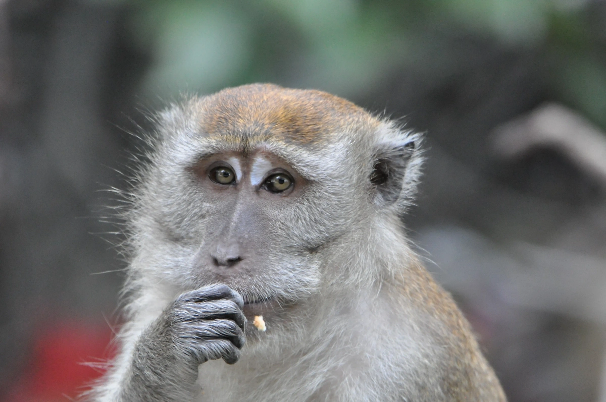 Обложка © Shutterstock / FOTODOM/ RANA_ MONDAL