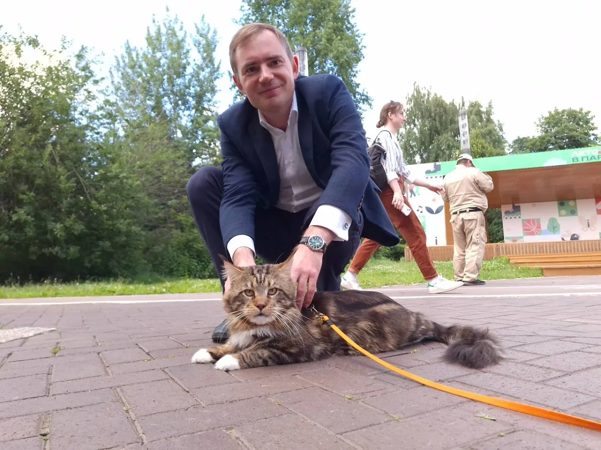 Обложка © Телеграм / Максим Круглов. Яблоко