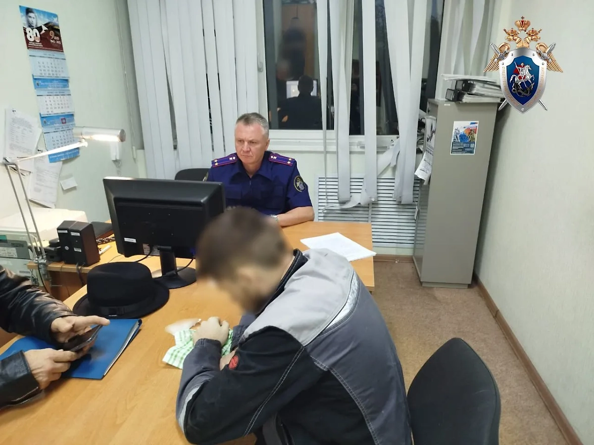 В Ульяновске задержан подозреваемый в убийстве женщины и двух детей. Обложка © Telegram / СУ СКР по Ульяновской области 