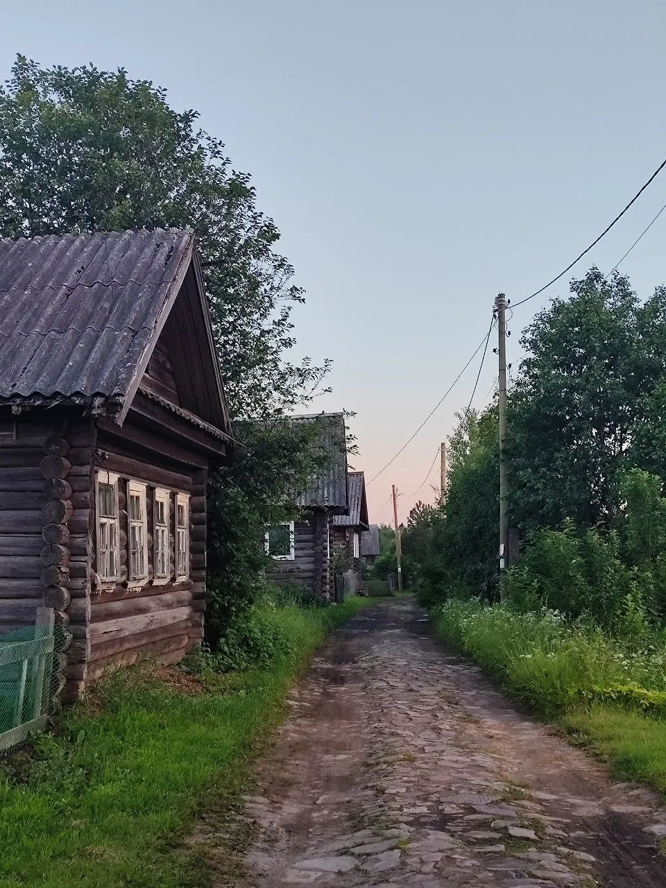 Фото © Telegram / Лес и ветер. Путешествия по далёкой России и Сербии