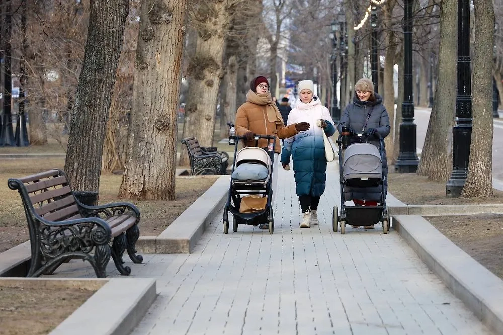 Фото © ТАСС / Олег Елков