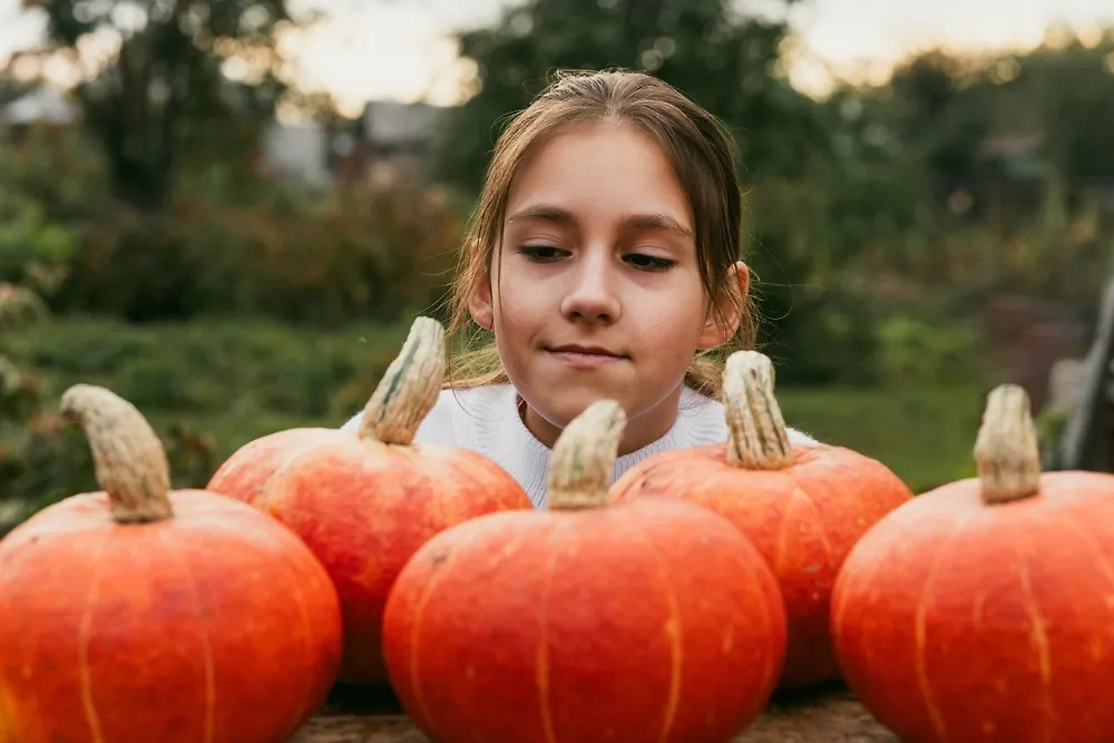 Обложка © Shutterstock / FOTODOM / Melnikov Dmitriy