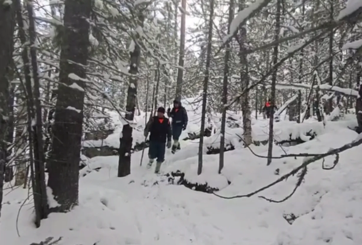 Обложка © Telegram / МЧС Красноярского края