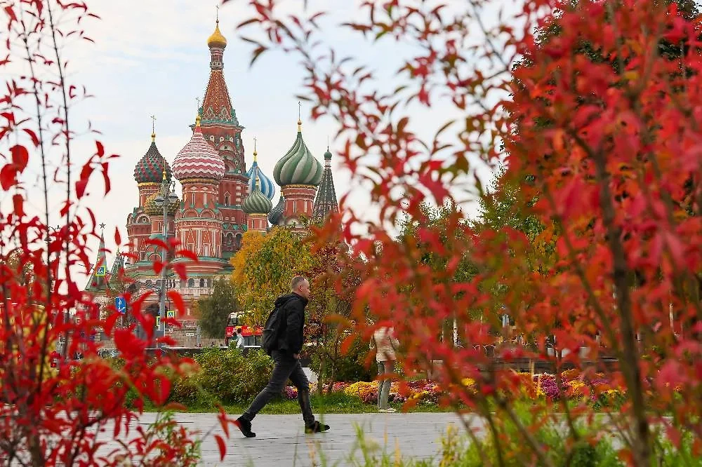 В ноябре 2025 года в Центральной России ожидается аномальная погода. Фото © ТАСС / Сергей Савостьянов