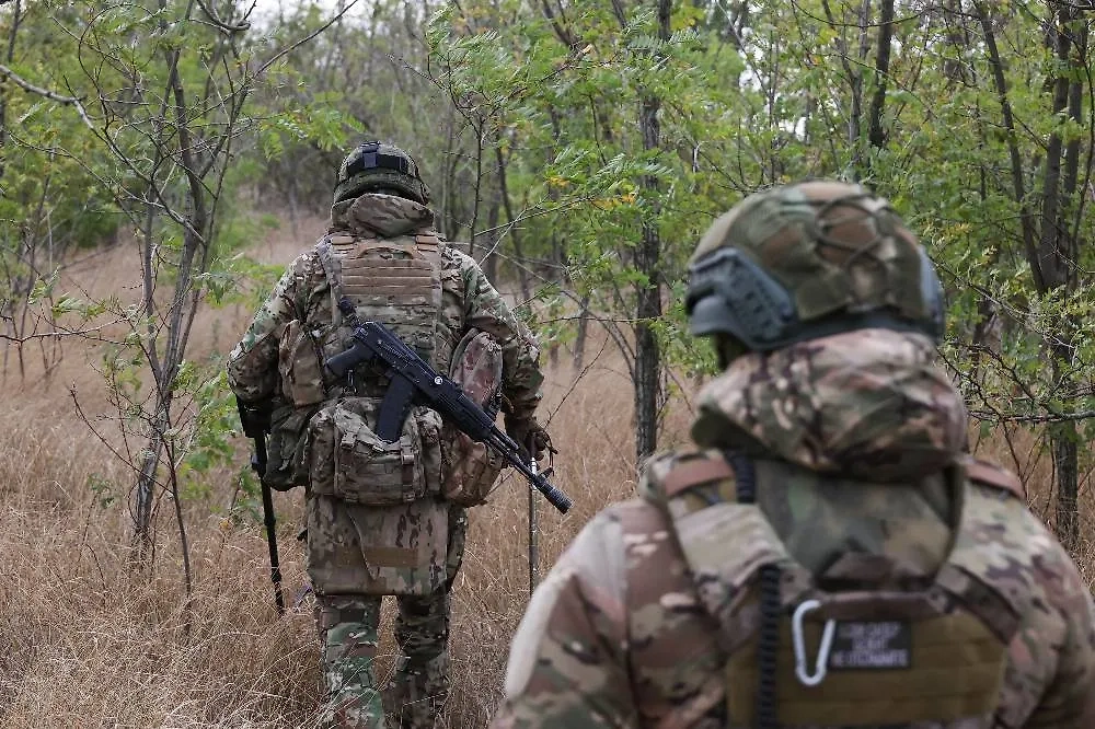 Обложка © ТАСС / Александр Полегенько