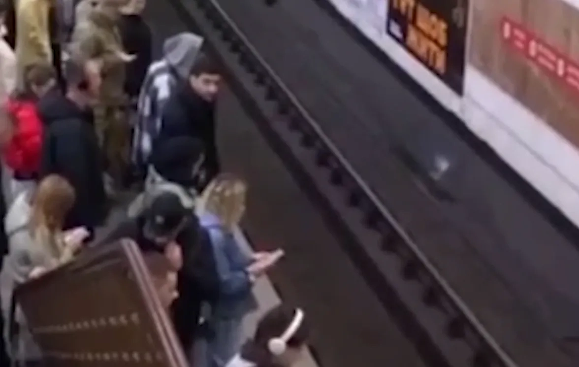 Транспортный коллапс на левом берегу Киева из-за блэкаута. Обложка © Telegram / Киев24